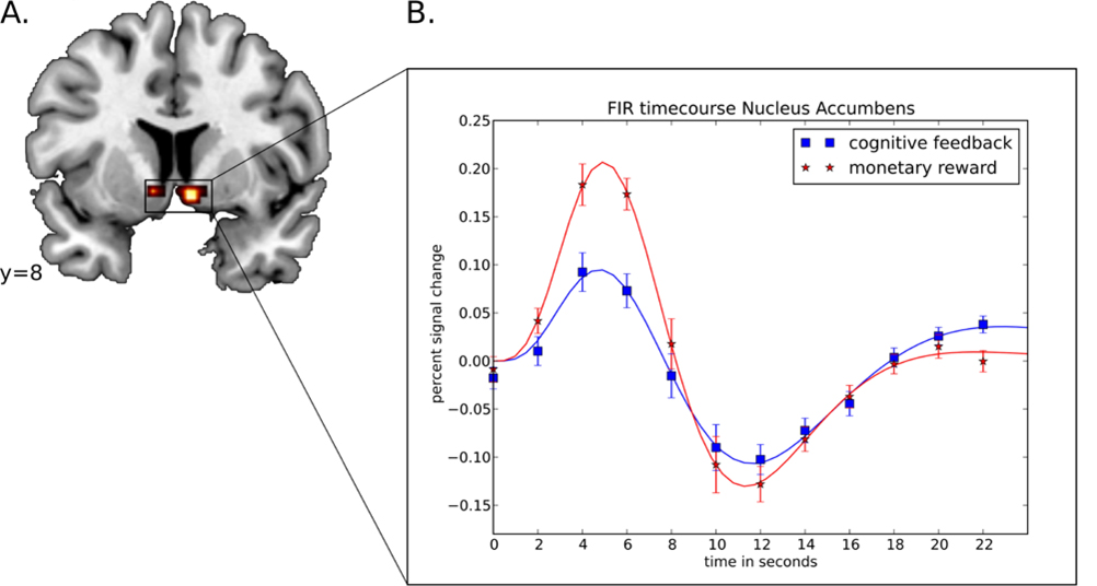Figure: FIR timecourse Nucleus Accumbens