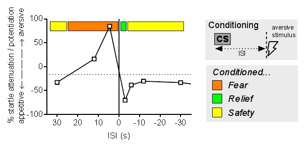 Figure demonstrating timeline of a response to fear