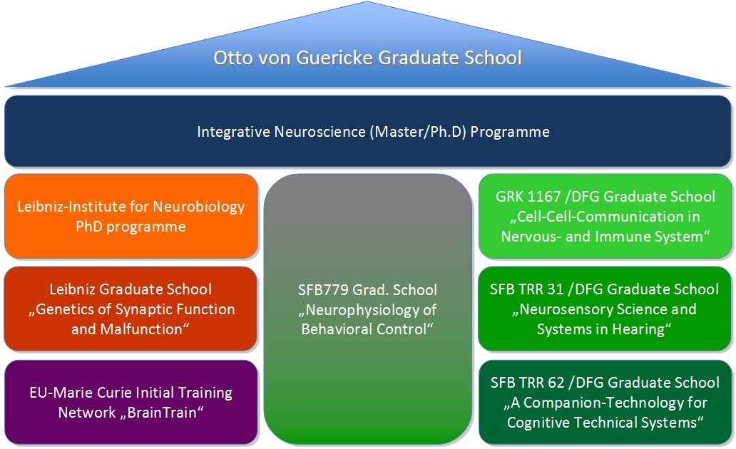 Organizational structure of the Graduate School