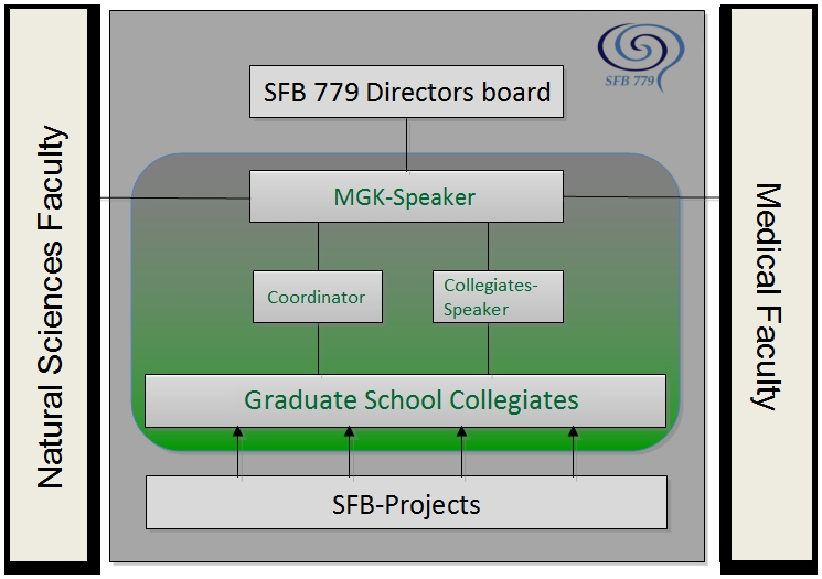 Graduate School Management Structure